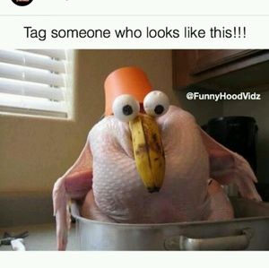 Meet your Posher, Summer